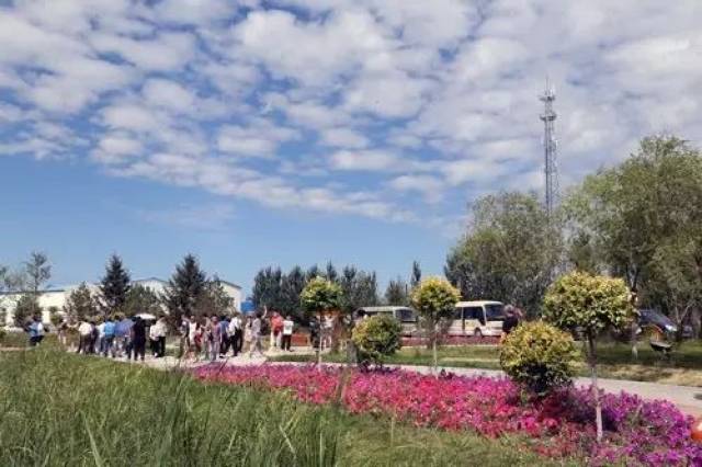 沈阳富硒大米种植面积（沈阳富硒大米哪家好）-硒宝网