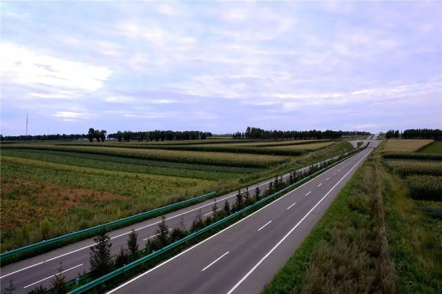 沈阳富硒大米种植面积（沈阳富硒大米哪家好）-硒宝网