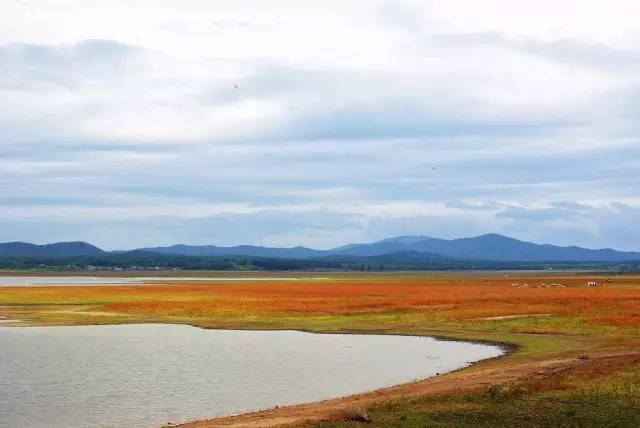 沈阳富硒大米种植面积（沈阳富硒大米哪家好）-硒宝网