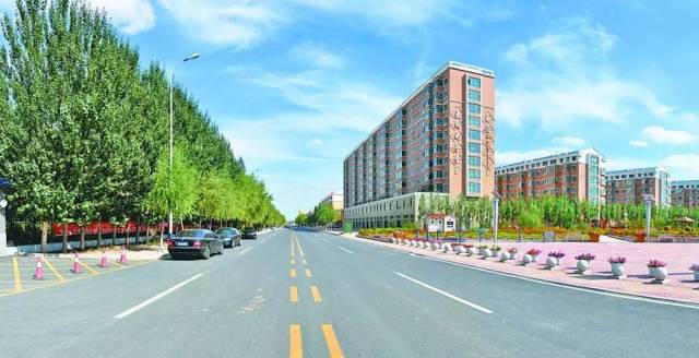 沈阳富硒大米种植面积（沈阳富硒大米哪家好）-硒宝网