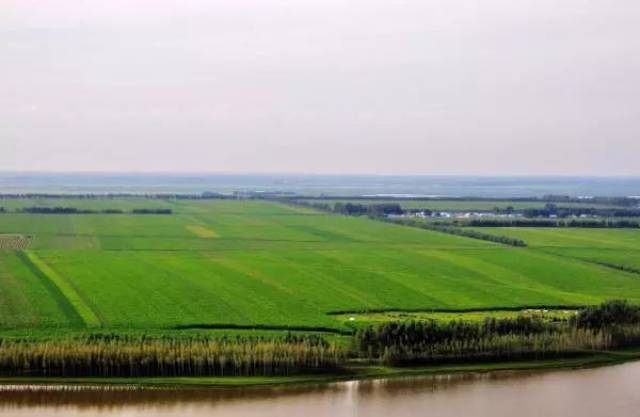 沈阳富硒大米种植面积（沈阳富硒大米哪家好）-硒宝网