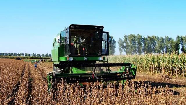 沈阳富硒大米种植面积（沈阳富硒大米哪家好）-硒宝网