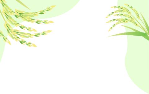 湖南公共富硒大米频道(衡阳富硒大米)-硒宝网