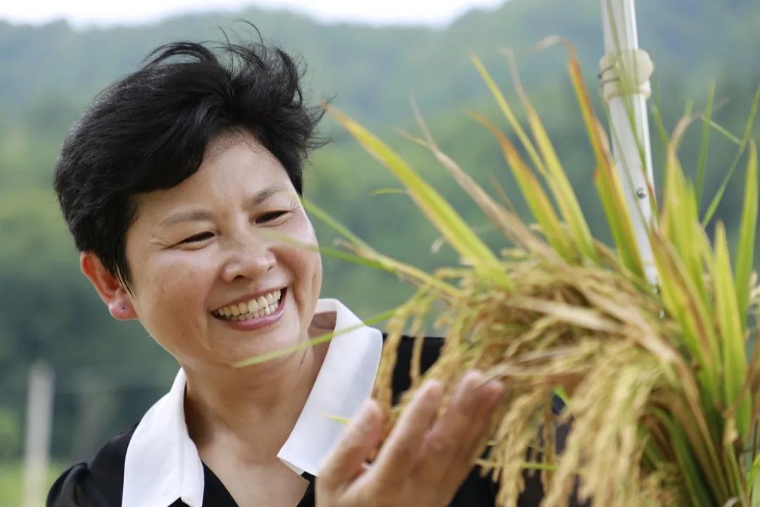 湖南公共富硒大米频道(衡阳富硒大米)-硒宝网