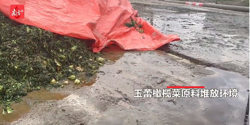 富硒大米宣传视频素材（大米广告视频素材）-硒宝网