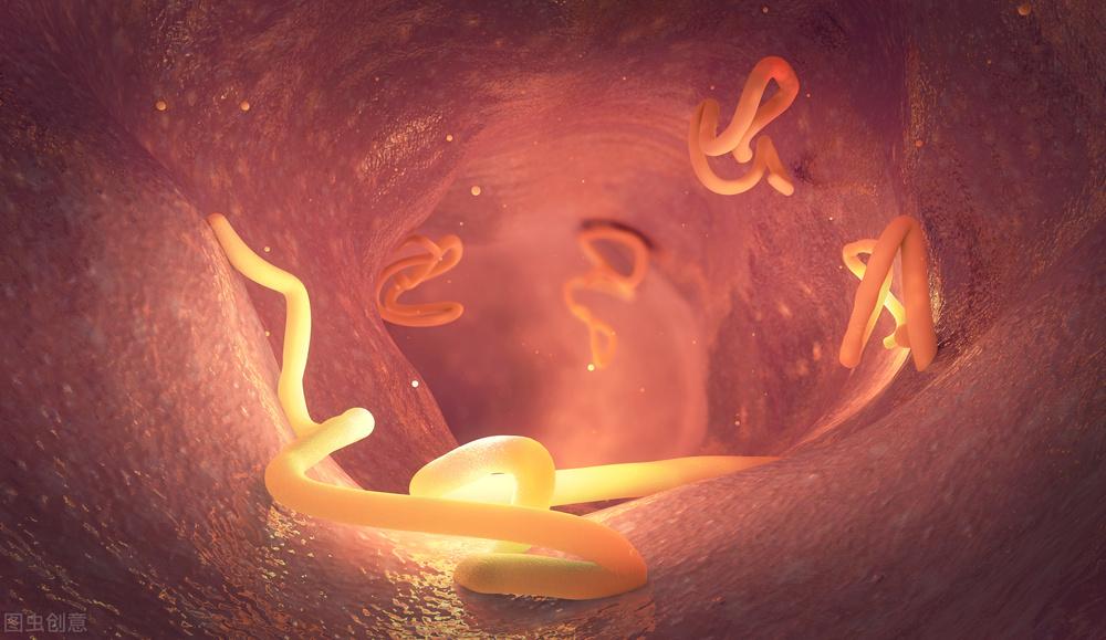 补铁的口服液(口服液补铁的有哪些牌子)-硒宝网