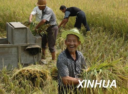 如何存储有机富硒大米(富硒大米包装)-硒宝网