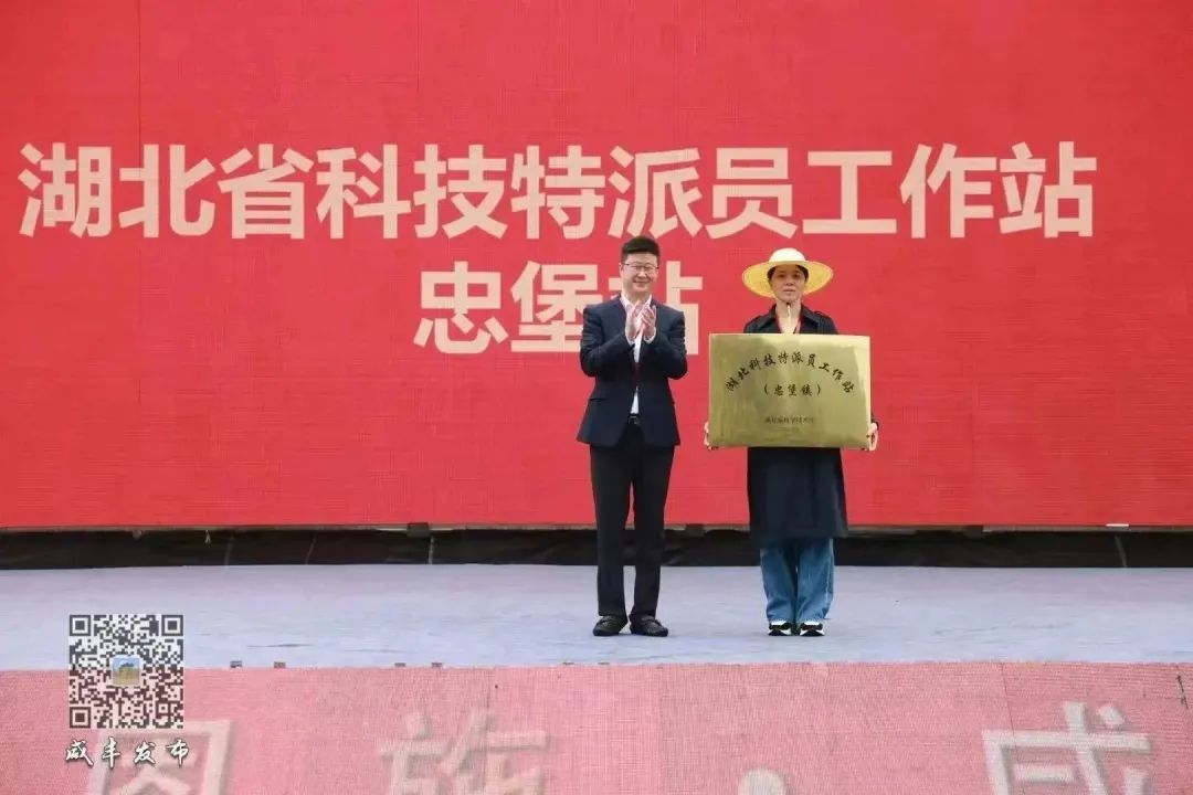 湖北恩施富硒大米打造（湖北富硒大米之乡）-硒宝网