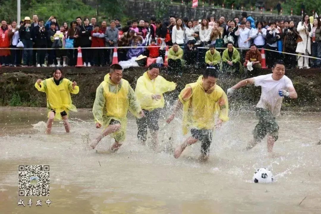 湖北恩施富硒大米打造（湖北富硒大米之乡）-硒宝网