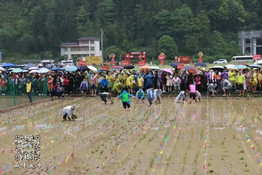 湖北恩施富硒大米打造（湖北富硒大米之乡）-硒宝网