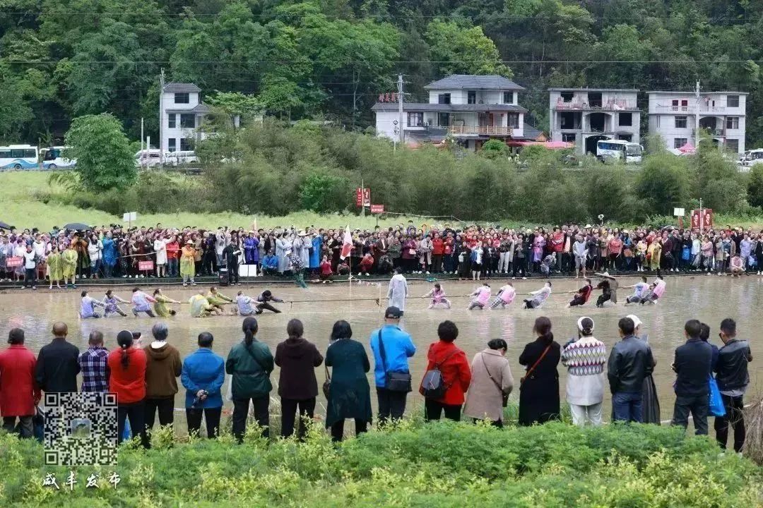 湖北恩施富硒大米打造（湖北富硒大米之乡）-硒宝网