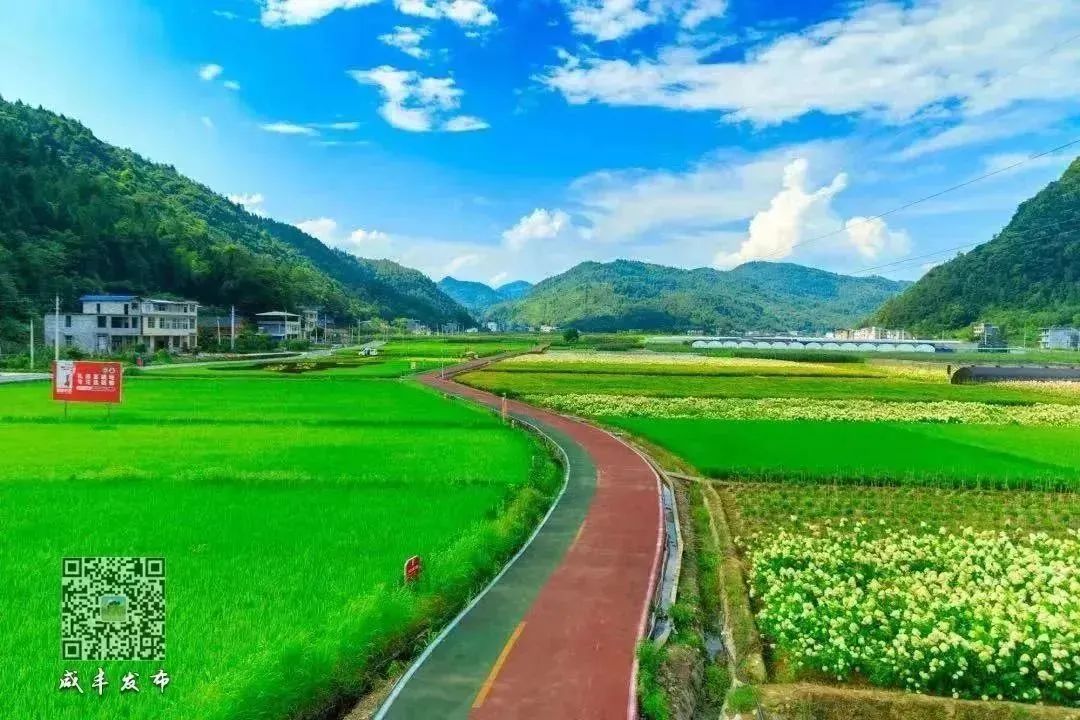 湖北恩施富硒大米打造（湖北富硒大米之乡）-硒宝网