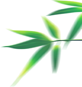 海南定安火山富硒大米(富硒大米基地)-硒宝网