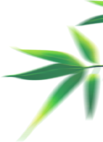 海南定安火山富硒大米(富硒大米基地)-硒宝网