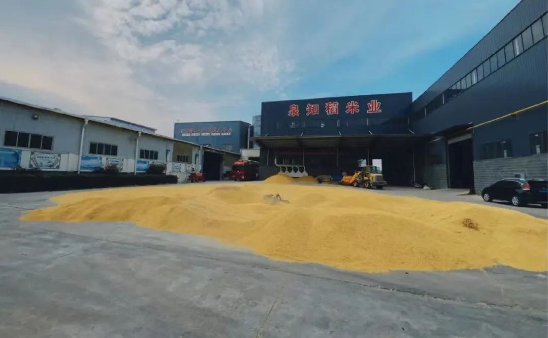 富硒大米种植周期多长(富硒大米产量)-硒宝网