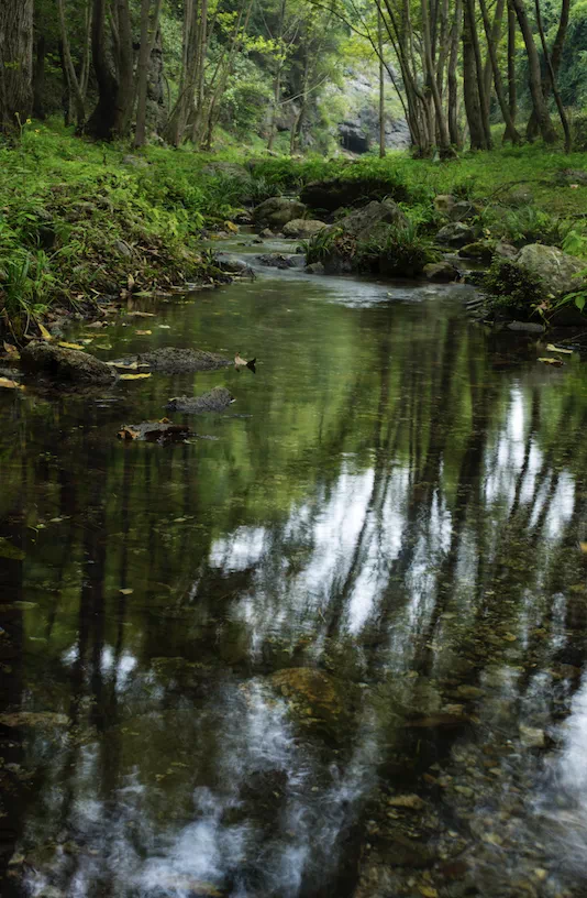 富硒大米种植周期多长(富硒大米产量)-硒宝网