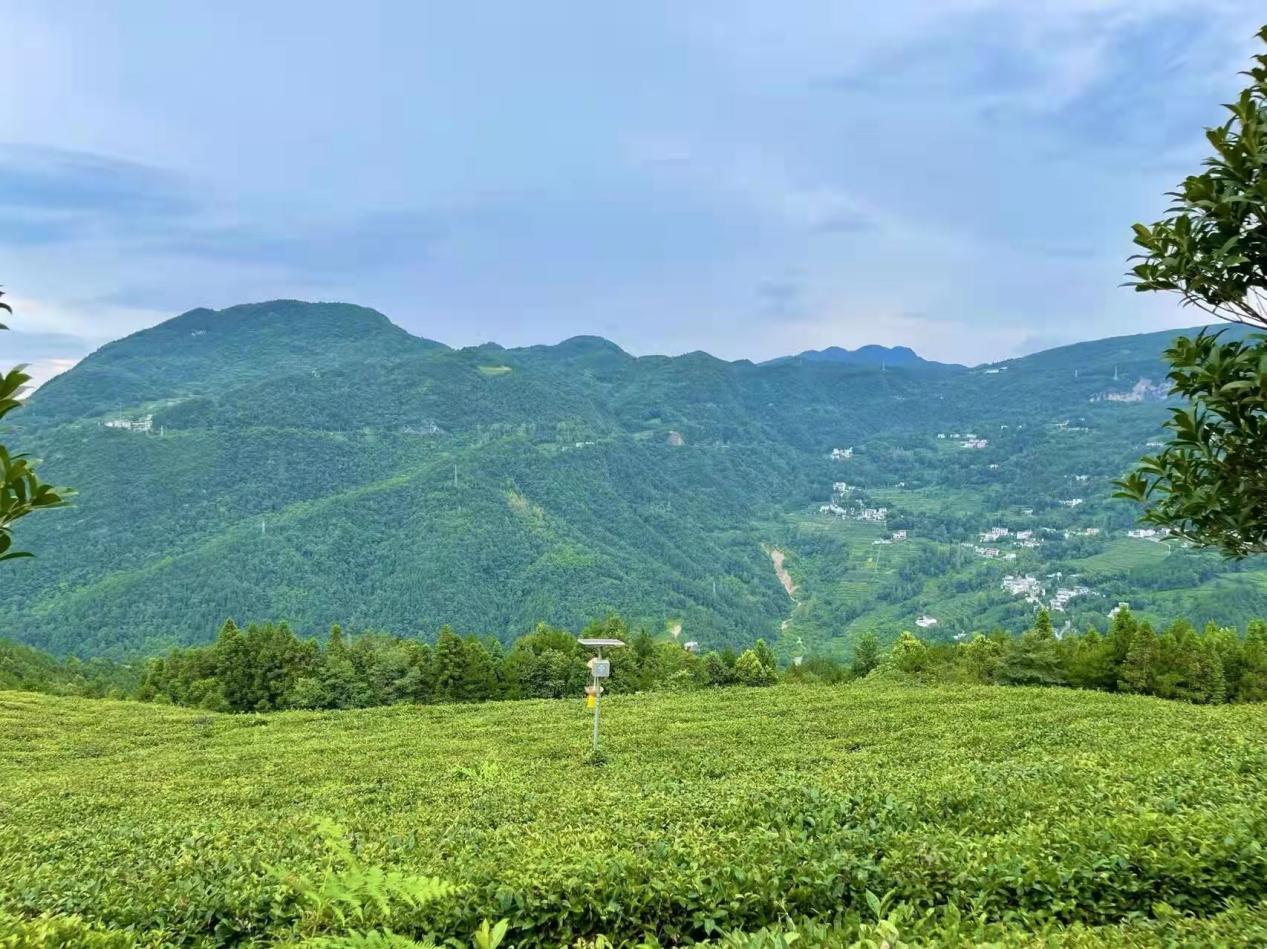 恩施富硒大米主要分布（恩施富硒大米厂家）-硒宝网