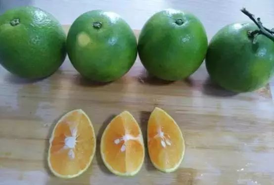 海南定安火山富硒大米(富硒大米产地)-硒宝网