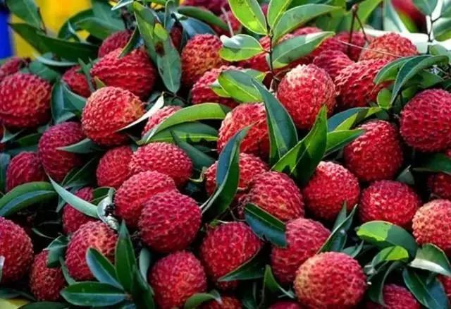 海南定安火山富硒大米(富硒大米产地)-硒宝网