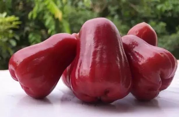 海南定安火山富硒大米(富硒大米产地)-硒宝网