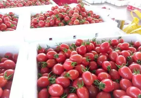 海南定安火山富硒大米(富硒大米产地)-硒宝网