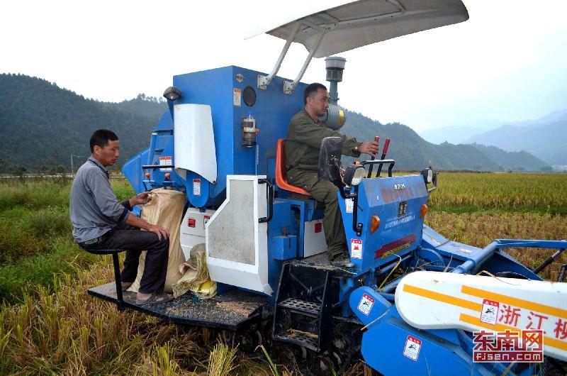 福建光泽寨里富硒大米（光泽大米福建富硒寨里能种吗）-硒宝网