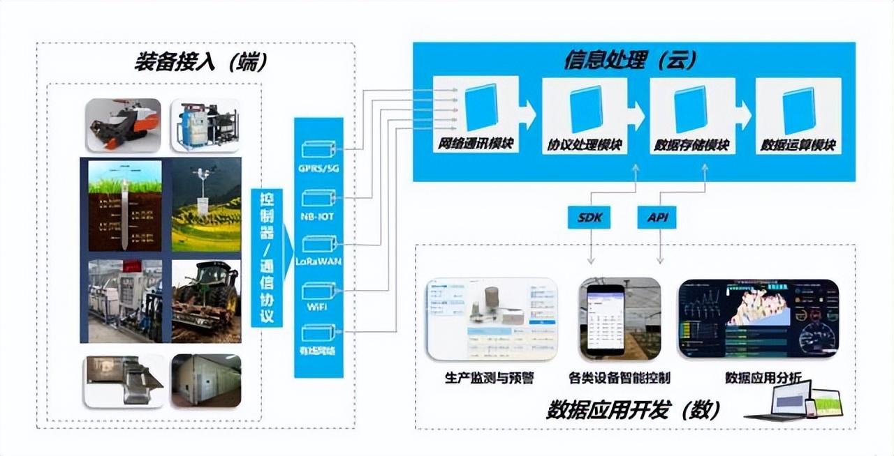 攻关富硒大米种植技术(富硒大米的种植)-硒宝网