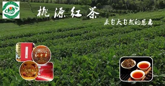 常德富硒大米营销方式(富硒大米市场分析)-硒宝网