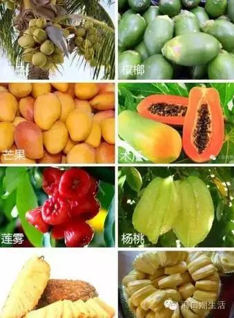 广西富硒大米生产总量（广西扶贫产品富硒大米）-硒宝网