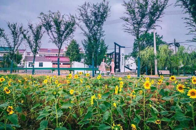 南京有机富硒大米品质（富硒大米的执行标准）-硒宝网