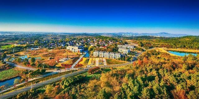 南京有机富硒大米品质（富硒大米的执行标准）-硒宝网