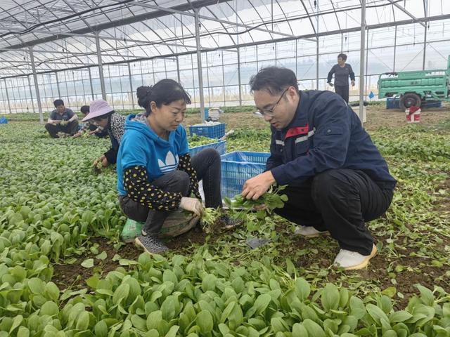 南京有机富硒大米品质（富硒大米的执行标准）-硒宝网