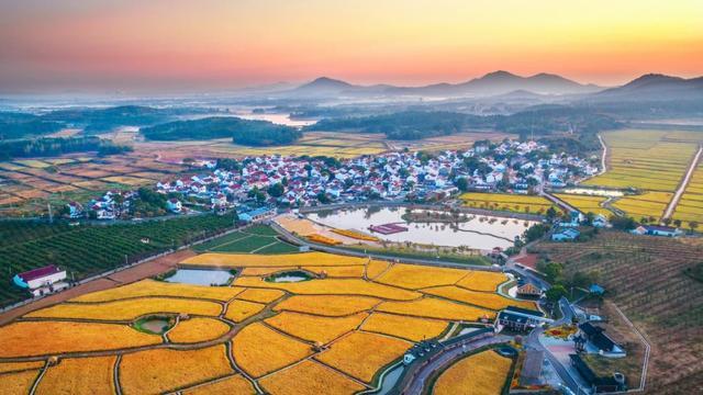 南京有机富硒大米品质（富硒大米的执行标准）-硒宝网