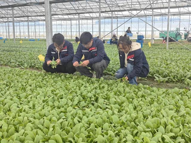 南京有机富硒大米品质（富硒大米的执行标准）-硒宝网