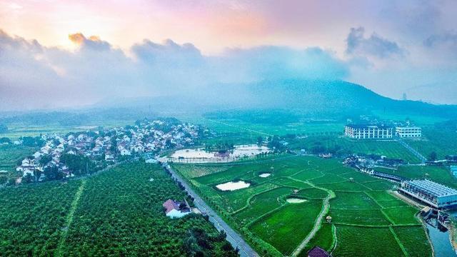 南京有机富硒大米品质（富硒大米的执行标准）-硒宝网