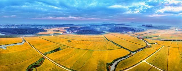 南京有机富硒大米品质（富硒大米的执行标准）-硒宝网