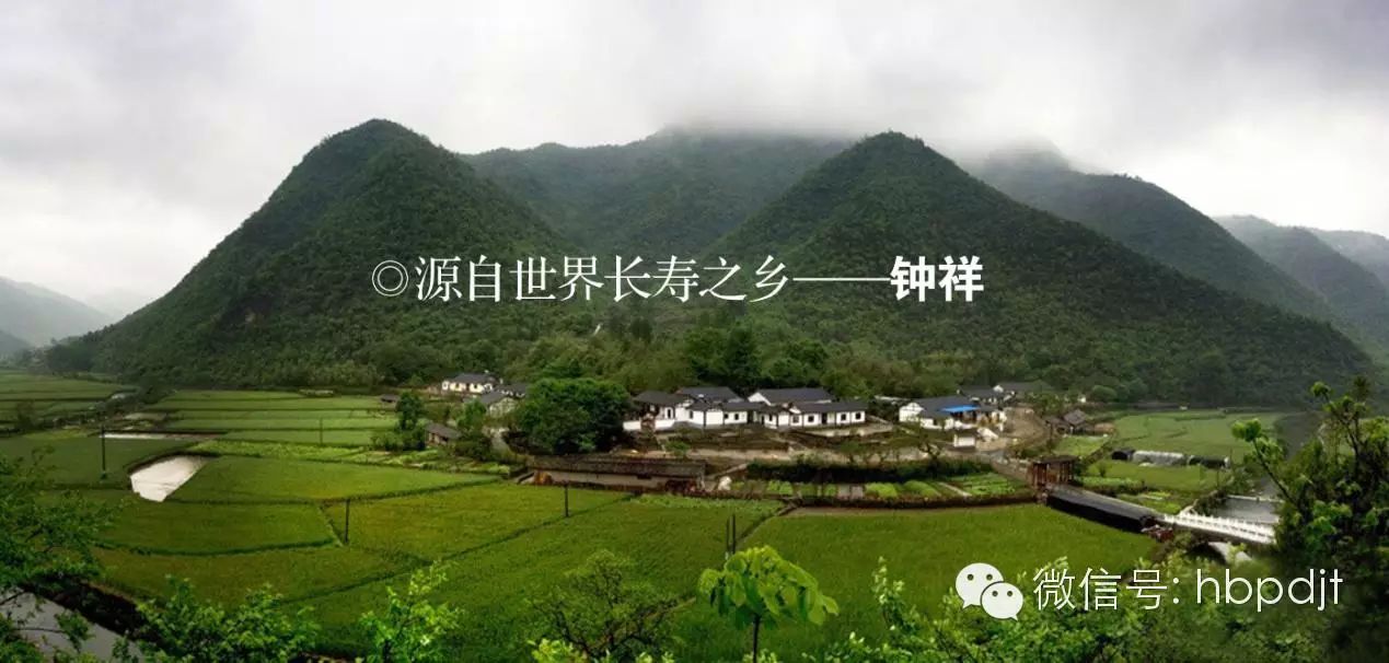 中国长寿之乡富硒大米（江苏长寿富硒大米）-硒宝网