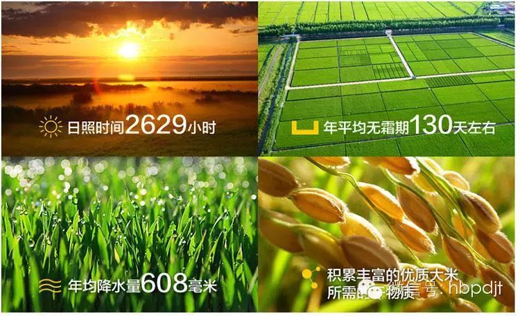 中国长寿之乡富硒大米（江苏长寿富硒大米）-硒宝网