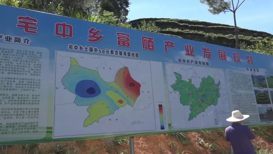 富硒大米种植生产企业(富硒大米生产技术)-硒宝网