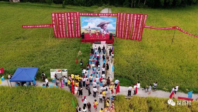 重庆涪陵龙潭富硒大米（涪陵龙潭大米价格）-硒宝网