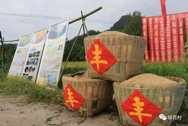 重庆涪陵龙潭富硒大米（涪陵龙潭大米价格）-硒宝网