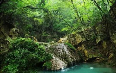 中国长寿之乡富硒大米(富硒大米之乡)-硒宝网