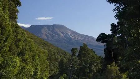 中国长寿之乡富硒大米(富硒大米之乡)-硒宝网