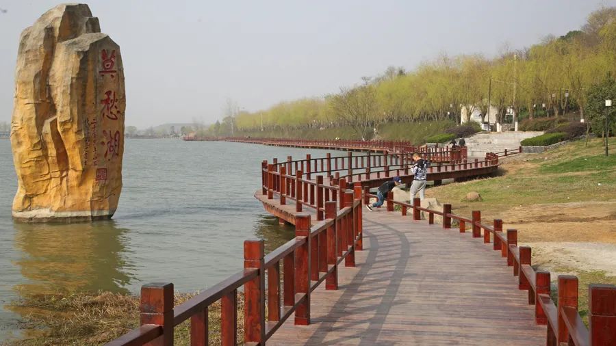 中国长寿之乡富硒大米(富硒大米之乡)-硒宝网