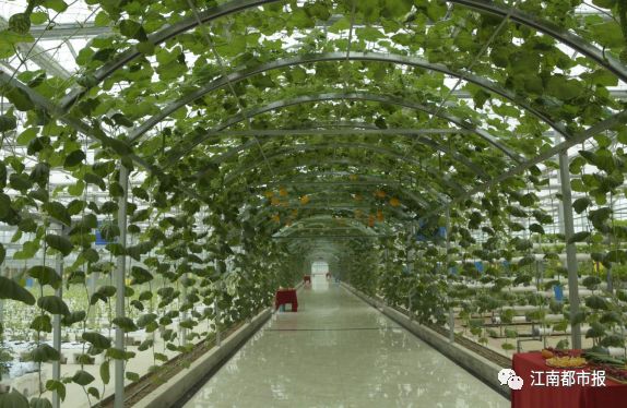 靖安富硒绿色有机大米（富硒大米包装简介）-硒宝网