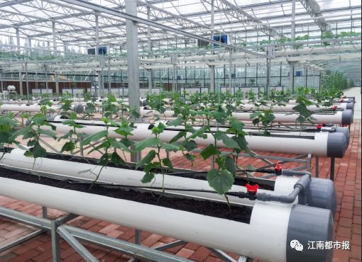 靖安富硒绿色有机大米（富硒大米包装简介）-硒宝网