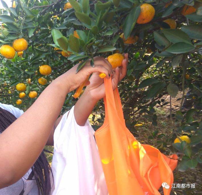 靖安富硒绿色有机大米（富硒大米包装简介）-硒宝网