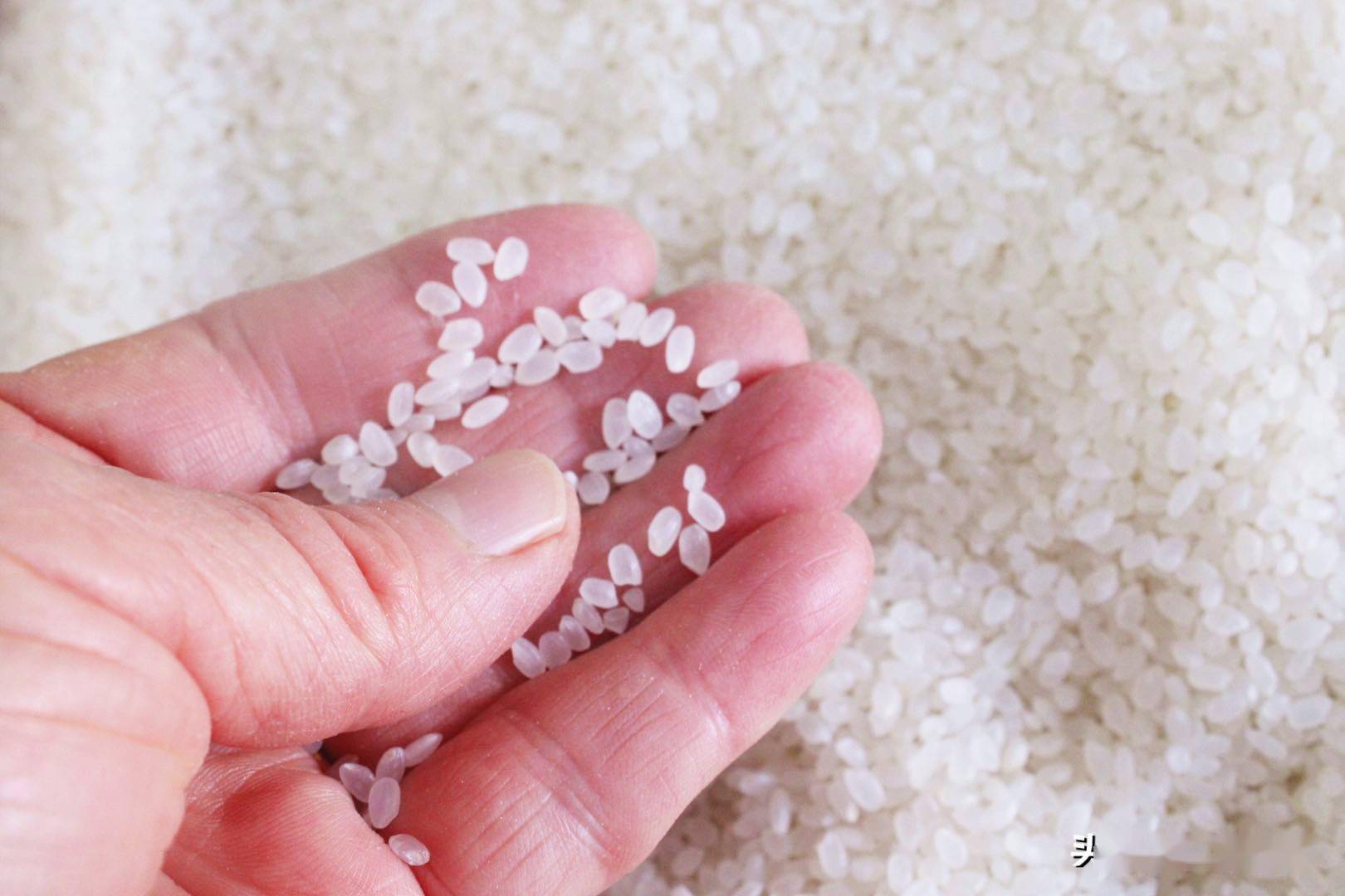 富硒大米广西地方标准（富硒大米的执行标准）-硒宝网