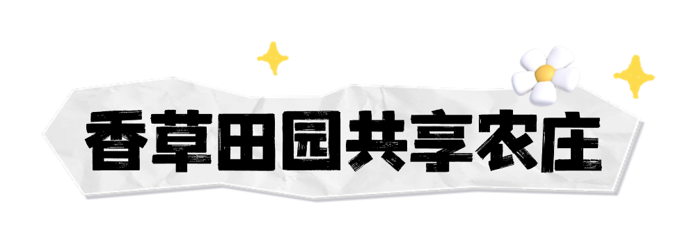 海南定安翰林富硒大米（海南定安翰林富硒大米）-硒宝网