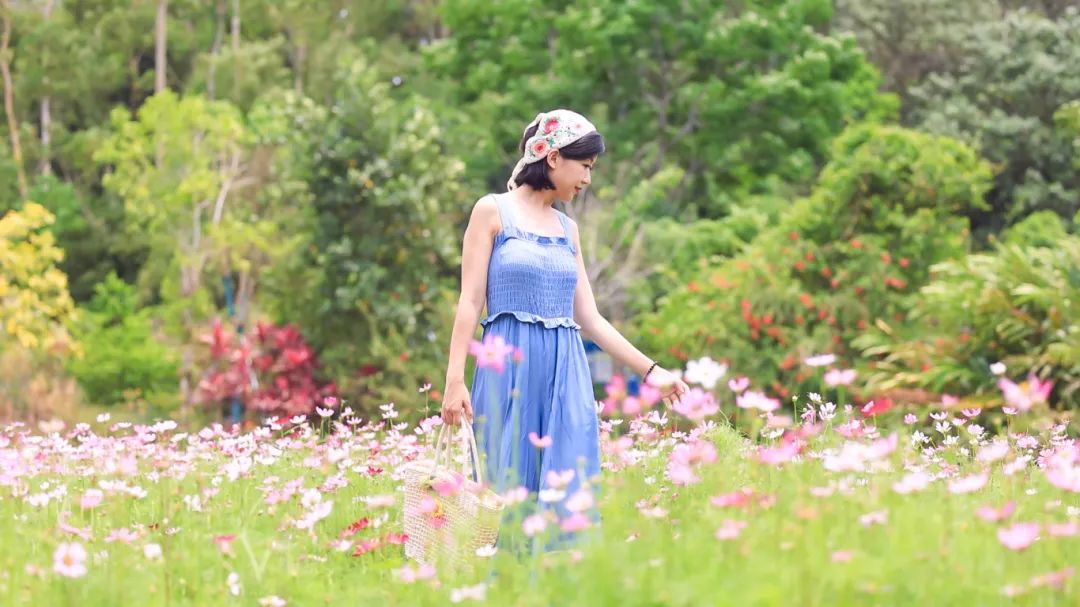 海南定安翰林富硒大米（海南定安翰林富硒大米）-硒宝网